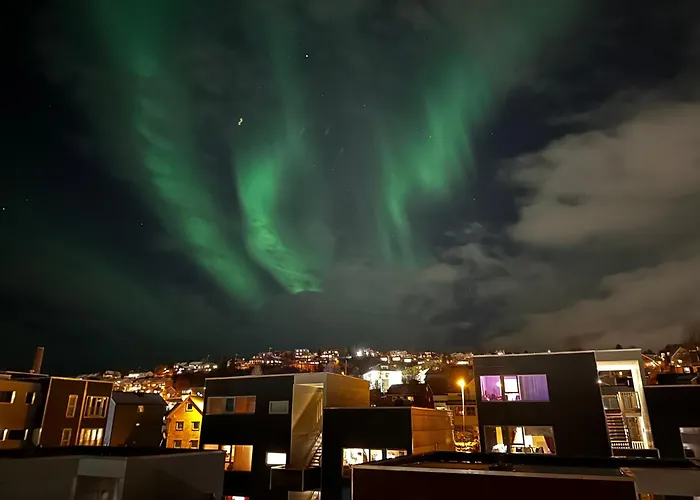 Arctic Apartment